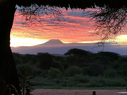 Mt_Kilimanjaro_at_Sunrise__as_seen_from_our_Longido_Camp_mess